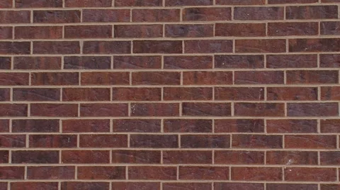 Red Brick Wall (medium shot) Stock Footage