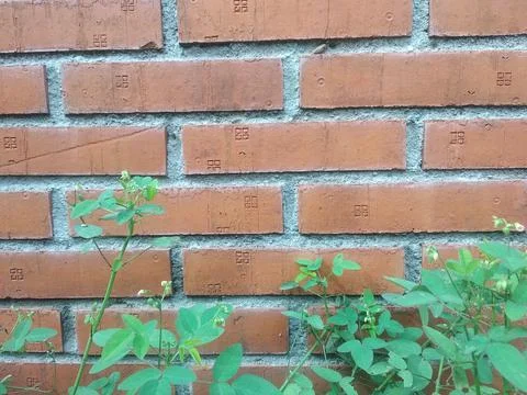 Red brick wall out side of a house Stock Photos