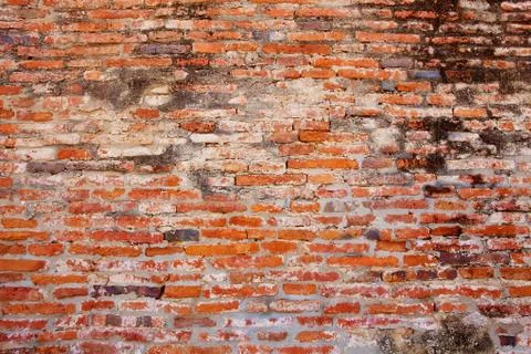 Red brick wall Stock Photos