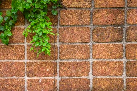 Red brick wall. Stock Photos