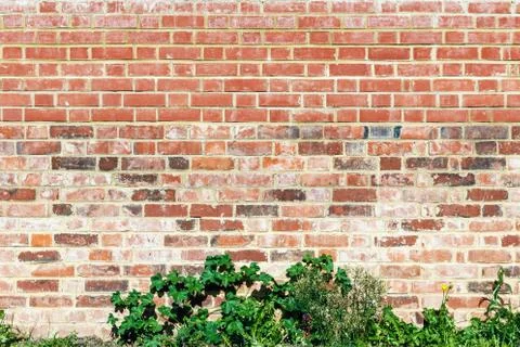 Red Brick Wall Stock Photos