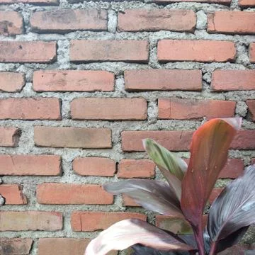 Red brick wall Stock Photos