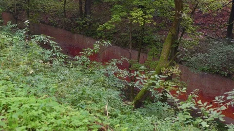 Red brick wall in the ravine forest Stock Footage 126585003