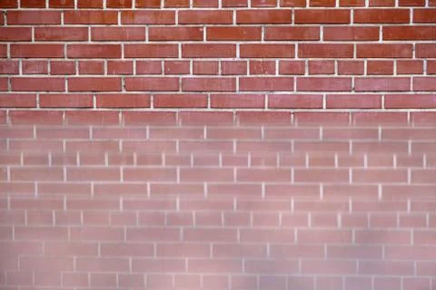 Red brick wall with reflection below Stock Photos