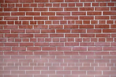 Red brick wall with reflection below Stock Photos
