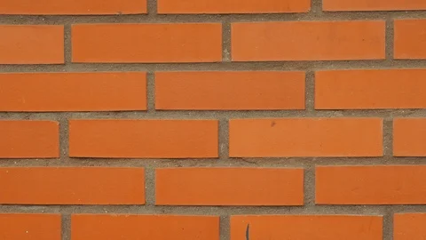 Red Brick Wall Slider Shot  Stock Footage 113755850