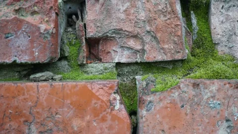 Red Brick Wall Stop Motion Stock Footage 140210710