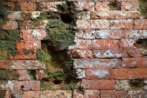 Red brick wall of temple covered with green moss in My Son Stock Photos