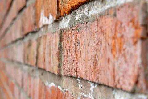 Red brick wall texture close up selective focus Stock Photos