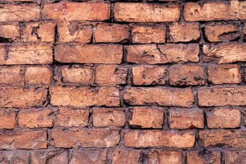 Red brick wall texture for interior design. Stock Photos