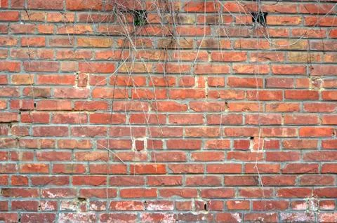 Red brick wall, textured background Stock Illustration