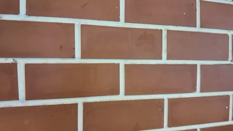 Red brick wall with white mortar lines Stock Footage 325649711