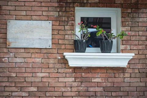 Red brick wall with window and two flowers Foto stock