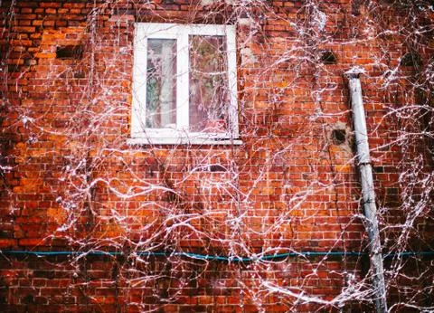 Red brick wall with a window 写真素材