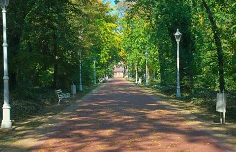 Red bricks pathway in Palic park, Serbia Foto stock