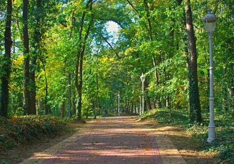 Red bricks pathway in Palic park, Serbia Stock Photos