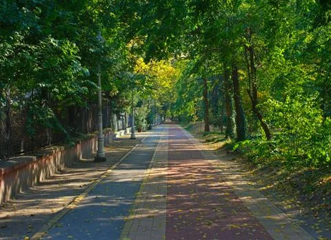 Red bricks pathway in Palic park, Serbia Stock Photos