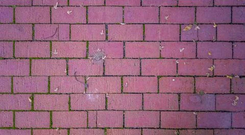 Red bricks pattern with some dead leaves Stock Photos
