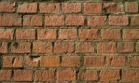 Red bricks Фото