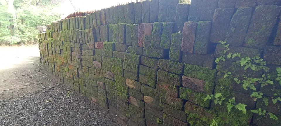 Red bricks Foto stock