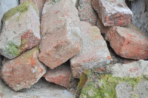 Red bricks Foto stock