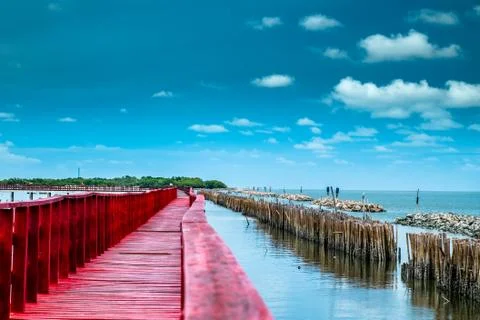 Red bridge and bamboo line slow down wave prevent coastal erosion. Stock Photos