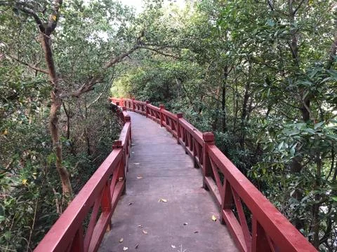 Red bridge in the forest Stock Photos