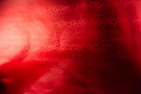 Red bright texture for designer background. Stock Illustration