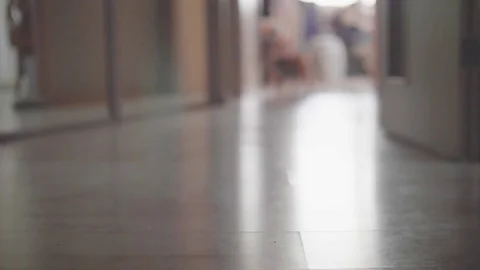 Red british cat plays with red light of laser pointer 3 Stock Footage 82966076