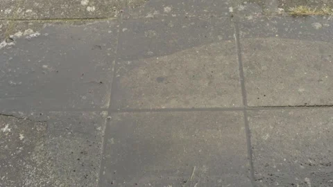 Red broom standing on freshly washed garden tiles Video stock 305197833