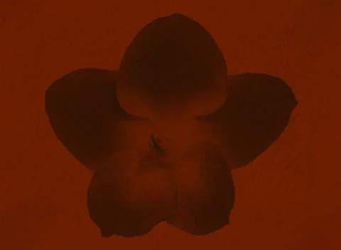 Red brown abstract texture background. Digital illustration art. Stock Illustration