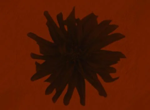 Red brown abstract texture background. Digital illustration art. Stock Illustration