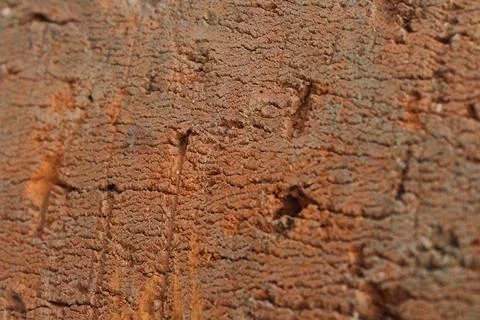 Red brown brick texture background Foto stock
