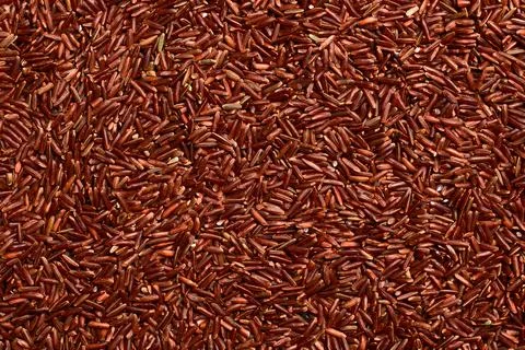 Red brown rice close up. Foto stock