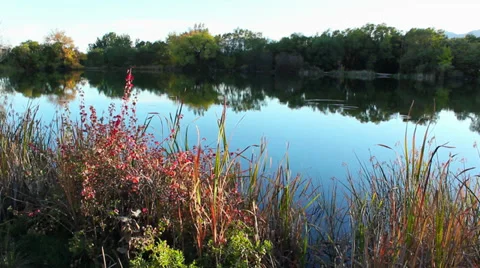 Red brush lake Stock-Footage 34814238
