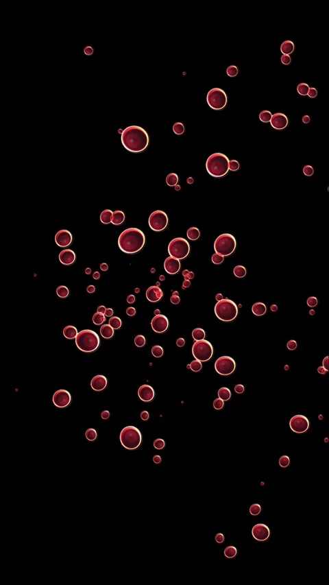 Red bubble cells animation background Stock Footage 288820113
