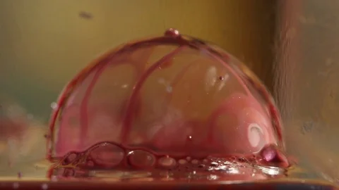 Red Bubble Closeup Stock Footage 75558570