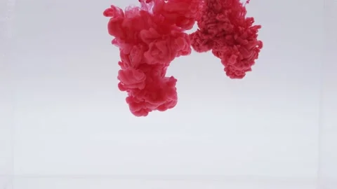 Red bubble Vídeo Stock 162460719