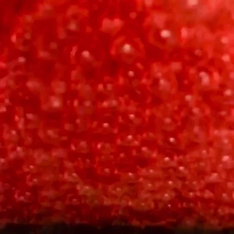 Red Bubbles Flicker and Move Stock Footage 245538115