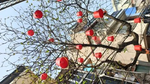 Red Buckets on the tree Stock Photos