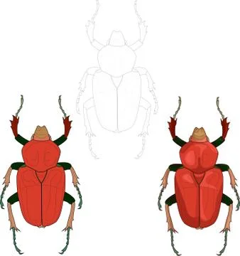 Red bug three different ways. Vector illustartion in color and black and white Illustrazione stock