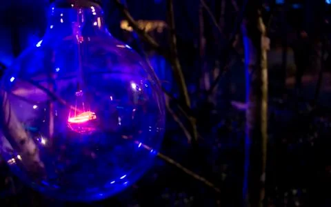 Red Bulb in Dark Tree Filled Room Stock Photos