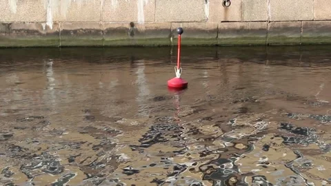 Red Buoy Floating on Calm Water in Urban City Canal Stock Footage 343213034