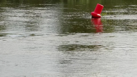 Red Buoy Floating on Flowing River Water Stock Footage 317446595