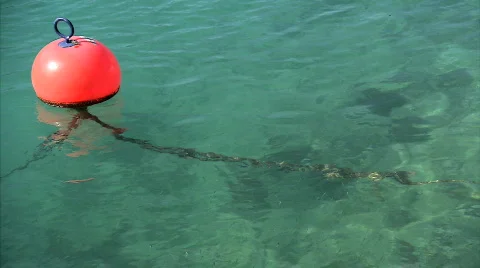 The Red Buoy Vidéo 679659