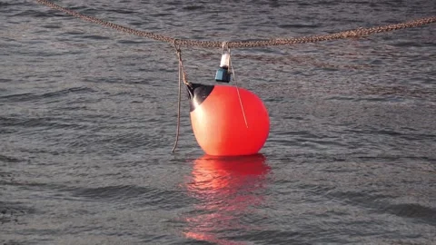 Red buoy in the harbor Stock Footage 293737272