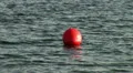 Red buoy swimming border HD Footage