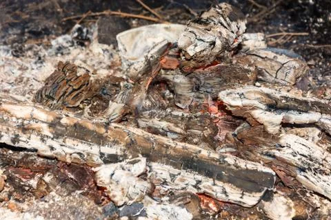 Red burning coals. Stock Photos