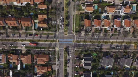 Red bus crossing palm lined Santiago intersection from above Video stock 347342352