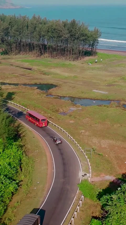 Red Bus Driving on a Winding Forest Highway (Vertical). Stock Footage 324810596